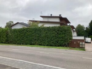 Puiden ja pensaiden hoitoleikkaus